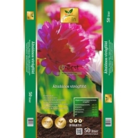 EGYÉB VIRÁGFÖLDEK