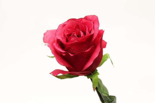 MÜVIRAG ROZSA NYILOTT HOSSZU X1 BORDO L4