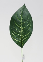 SELYEM APHELANDRA LEVÉL A00998