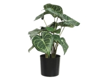 SELYEM CALATHEA CSEREPES 33X31X41CM 801309