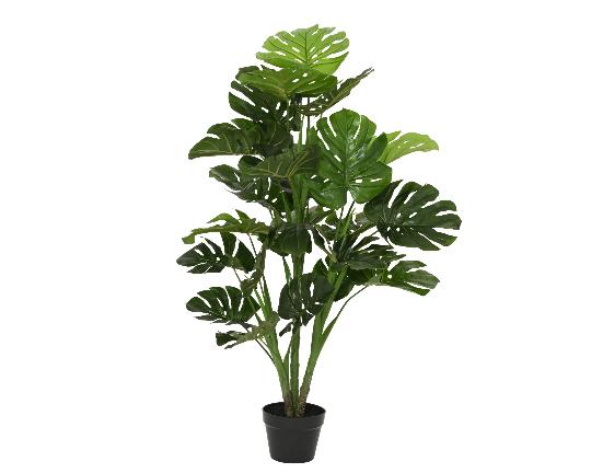 MÛVIRÁG MONSTERA CSERÉPBEN 120CM 899849