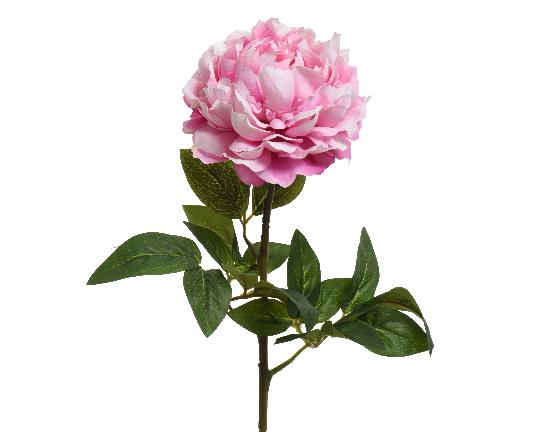 SELYEM PEONIA ÁG 72CM PINK 800340