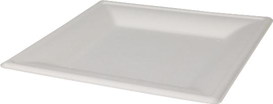 PARTY TÁNYÉR 20X20CM X8 LEBOMLÓ 050227