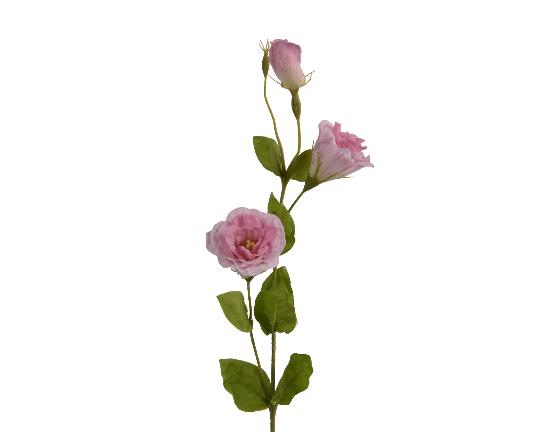 SELYEM LISIANTHUS 64CM PINK 891231