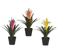 MÛVIRÁG GUZMANIA CSERÉPBEN 32CM 899752