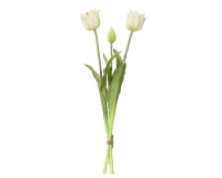 SELYEM TULIPÁN CSOKOR X3 WHITE 899650
