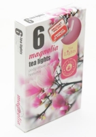 MÉCSES TEA ILLATOS X6 MAGNOLIA