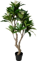 SELYEM FRANGIPANI CSERÉPBEN 150CM 530827