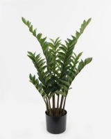 MÛVIRÁG ZAMIOCULCAS 85CM 564033