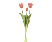 SELYEM TULIPÁN CSOKOR X3 PEACH 899655