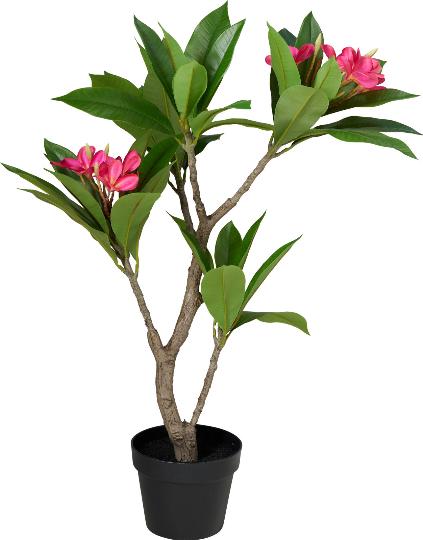 MÛVIRÁG FRANGIPANI CSERÉPBEN 90CM PINK 530828