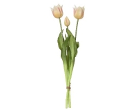 SELYEM TULIPÁN CSOKOR X3 SOFT YELLOW 899653