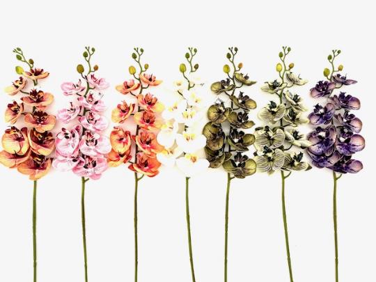 SELYEM PHALAENOPSIS 103CM MIX 383839919499