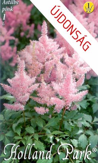 VIRÁGHAGYMA ASTILBE PINK 1-ES ÁCS.