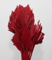 SZÁRAZ PÁLMALEVÉL PIROS