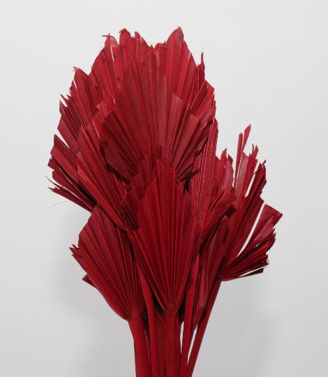 SZÁRAZ PÁLMALEVÉL PIROS