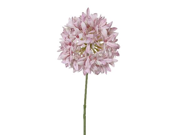 SELYEM AGAPANTHUS SZÁLAS 75CM SOFT PINK 899712
