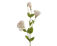 SELYEM LISIANTHUS 64CM CREAM 891230