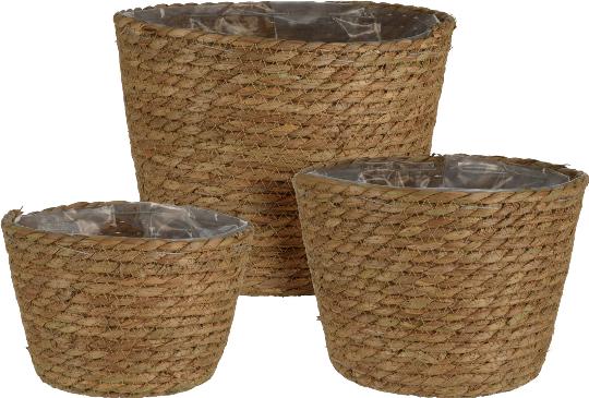 KOSÁR GYÉKÉNY 21CM II. 048388