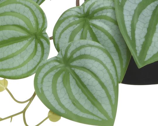 SELYEM MONSTERA CSEREPES 804012