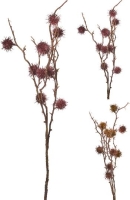 SELYEM BOGÁNCS ÁG 80CM MIX 510856