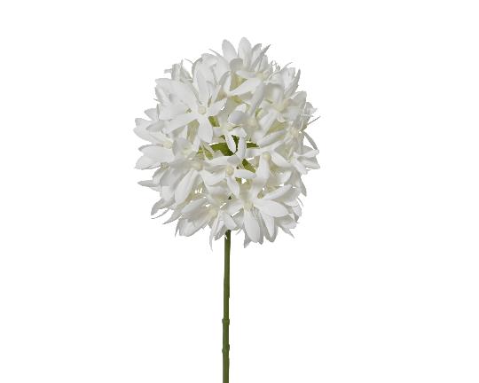 SELYEM AGAPANTHUS SZÁLAS 75CM WHITE 899711