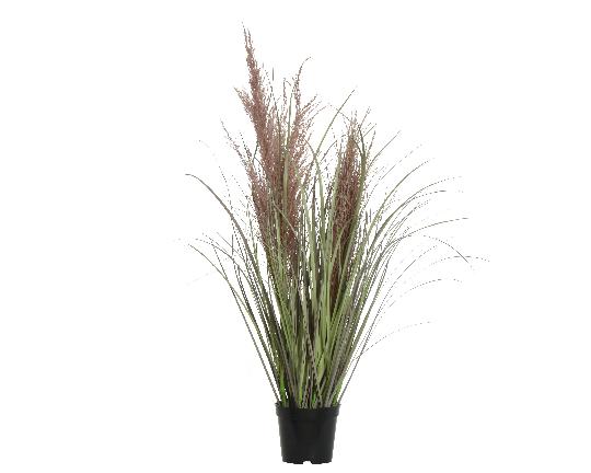 SELYEM PAMPAFÛ CSERÉPBEN 90CM ZÖLD/LILA 800482