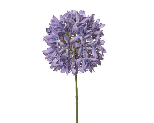 SELYEM AGAPANTHUS SZÁLAS 75CM PURPLE 899714