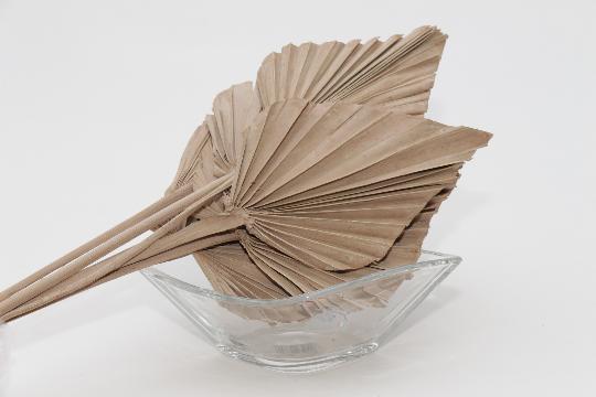 SZÁRAZ PÁLMALEVÉL FALFESTETT CAPPUCCINO