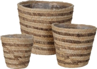 KOSÁR GYÉKÉNY 19CM II. 072964