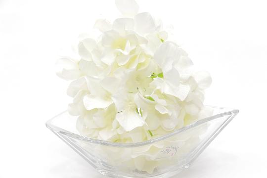 SELYEM HORTENZIA FEJ I. KRÉM-FEHÉR IV/ CR