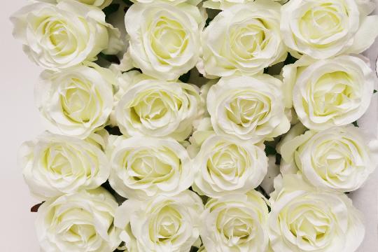 MÛVIRÁG RÓZSA NYÍLOTT NAGYV.X40 TÖRTFEHÉR L1