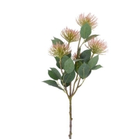 SELYEM PROTEA NUTANS X5 62CM RÓZSASZÍN DD60997