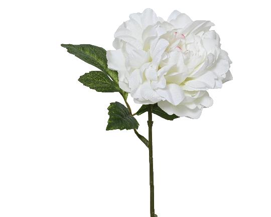 SELYEM PEONIA ÁG 36CM WHITE 833139