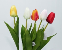 SELYEM TULIPÁN SZÁLAS X1 MIX 20441