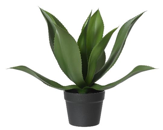 MÛVIRÁG AGAVE CSERÉPBEN 50CM 833576