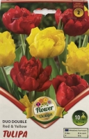 VIRÁGHAGYMA TULIPÁN RED/YELLOW 2-ES ÁRCSOPORT