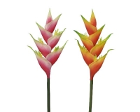 SELYEM HELICONIA SZÁLAS 91CM 899679